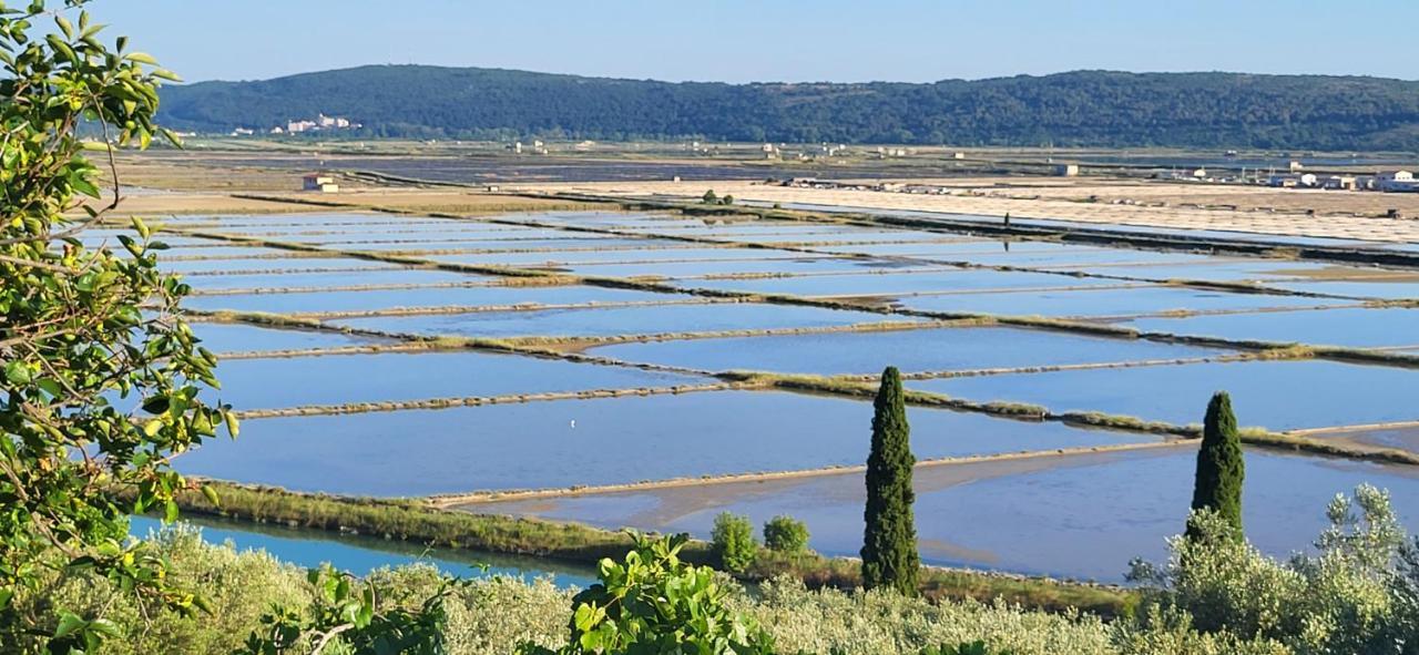 Apartment Salt Pans View Portorož Zewnętrze zdjęcie