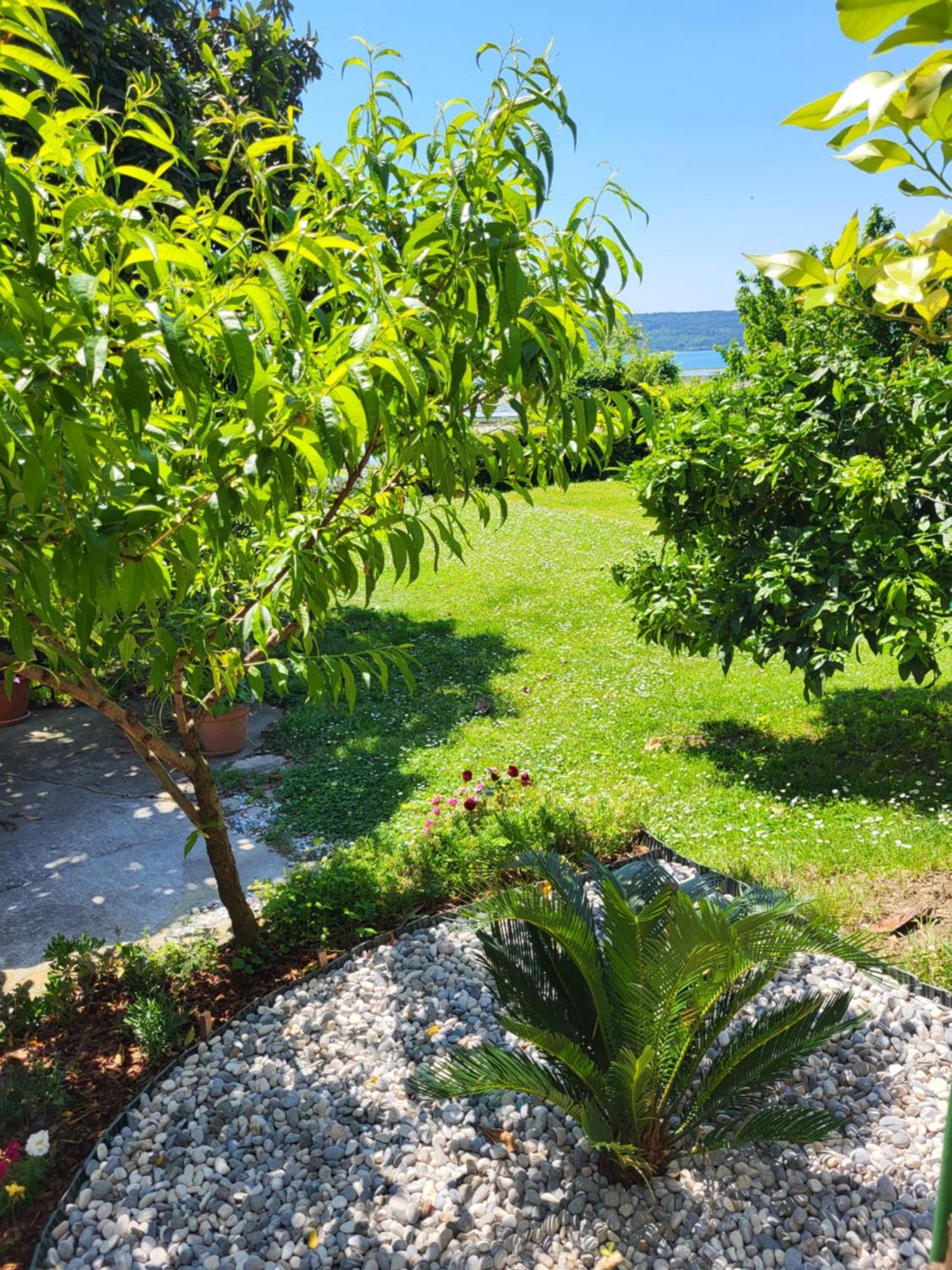 Apartment Salt Pans View Portorož Zewnętrze zdjęcie