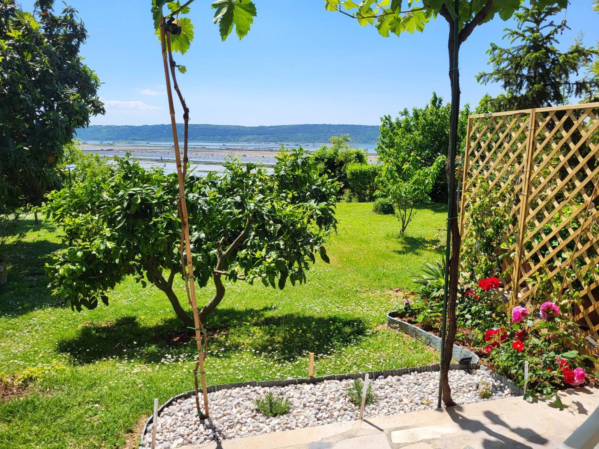 Apartment Salt Pans View Portorož Zewnętrze zdjęcie